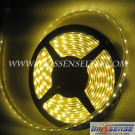 60LEDs, 8mm, 3528, IP67 - 5 Meter Reel