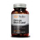 Ginkgo Biloba Leaf