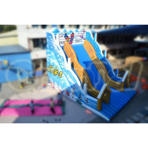 2014 Inflatable Billow Slide Chsl341