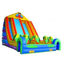 Inflatable Giant Slides