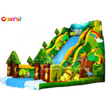 Jungle Inflatable Slide/Inflatable Slides for Sale Bb139