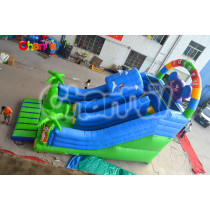 Safary Inflatable Slide/Large Inflatable Slide Chsl393