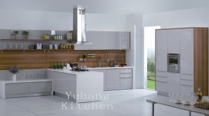 Baked Paint Kitchen Cabinet (M-L93)