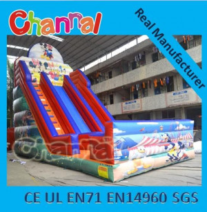 Cartoon Slide Inflatable Giant Slide Adult Dry Slides