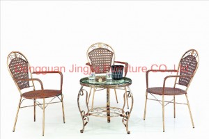 Cheap Iron Rattan Dining Outdoor Garden Furniture (JJ-S461&575)