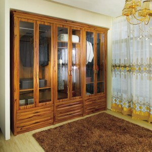 Custom Brown Wooden Wardrobe with Glass (OPY09-30)