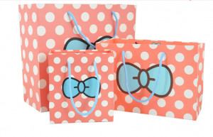 Custom New Design Gift Packaging Handle Paper Box