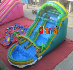 Green Inflatable Kids Water Slide with Pool for Sale (CHSL250)