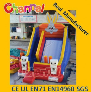 Inflatable Commercial Slide PVC Slides