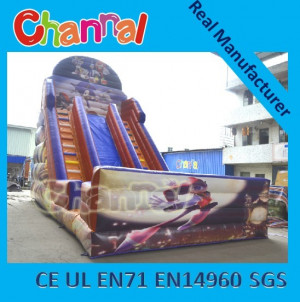 Inflatable Super Slide Adult Slide in Different Character