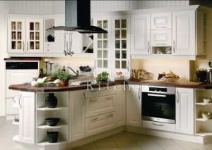 Kitchen Cabinets #2012-103