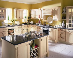 Kitchen Cabinets #2012-113