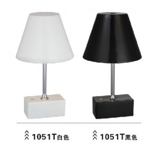Modern Carbon Steel Ceramics Table Lights (1051T)