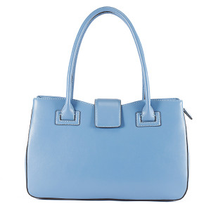 New Famous Lady Bag Brand Handbags Designer Handbags (ZH005-A3724)