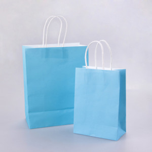 Shopping Paper Bag with Paper Handle in High Quality