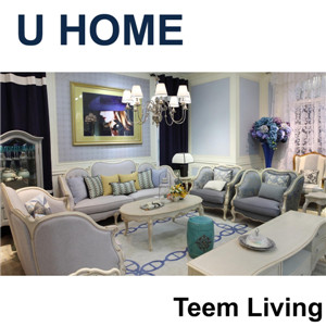 U Home Special Sofa Design Living Room Furniture