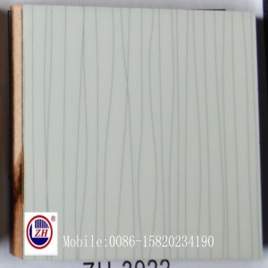 White Wooden Line UV MDF for Kitchen Cabinet Door (ZH-3922)