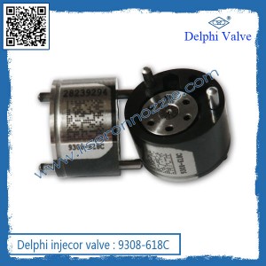 9308-618c Delphi Common Rail Injector Valve 618c