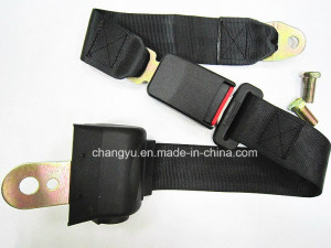 Car Safety Belts 2 Points Polyester Seat Belt (CY206B-2)