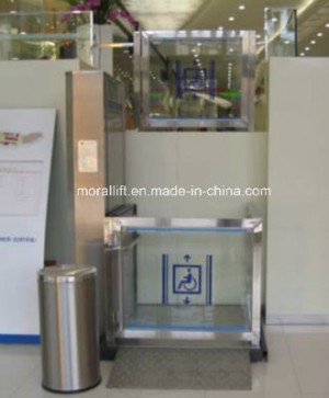 Cheap Home Elevator/Used Home Elevator for Sale
