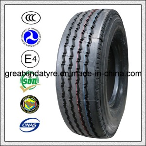 Chinese Brand Truck Tire (10.00R20) 1000r20 Tire