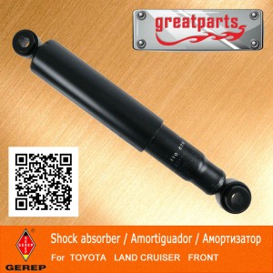 Chrome Rod Shock Absorber