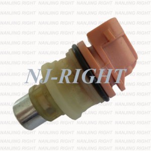 DELPHI Fuel Injector (ICD00106)