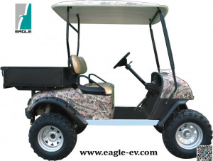 Electric Utility Lifted Car, Eg2020t