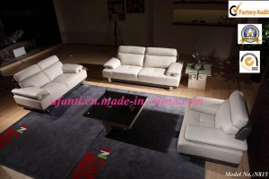 European Style Living Room Leather Sofa Sectional Sofa (N815)