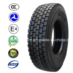 Excellent Performence Truck Tyres (10.00R20)