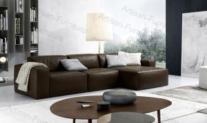 Furniture Brown Leather Sofa with Chaise Lounge (JP-sf-212)