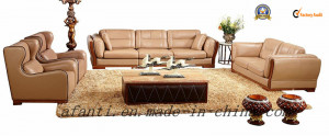 High Quality Luxury Genuine Leather Sofa (BT011)