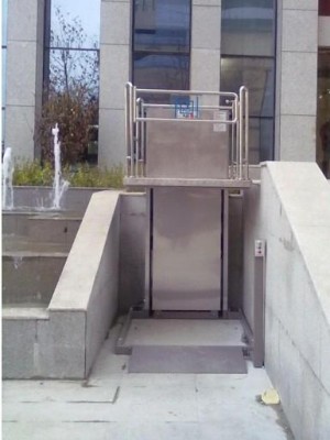 Home Use Disabled Platform Lifts with Elevating Platform