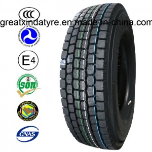 Hot Selling Truck Tyre, TBR Tyre for Driving Wheel (10.00R20)