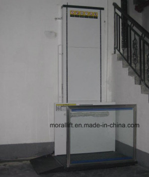 Hydraulic Home Elevator Lift/ Vertical Wheelchairs for Elderly/Disabled One Man Lift