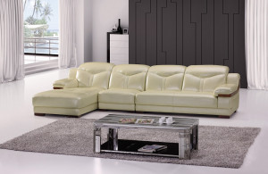 Living Room House Furniture Simple Design Leather Sofa (B110)