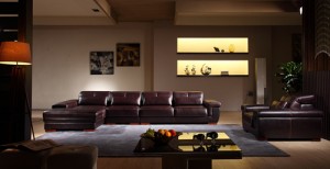 Modern Sofa Furniture Luxury Living Room Leather Sofa (N801)