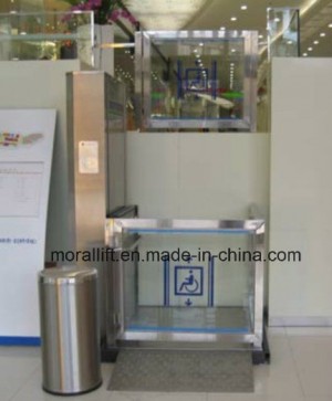 Pretty Access Platform/Wheelchair Access Vertical Lift Platform