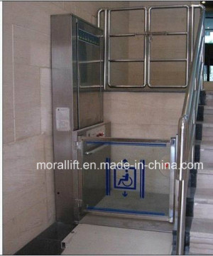 Professional Manufacture for Hydraulic Man Lift/Max. 6m Hydraulic Old Man Lift