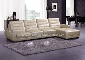 Simple Design Chinese Style Sectional Leather Sofa (B47)