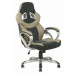 High Back Ergonomic Boss Racing Office Chair (Fs-8727)