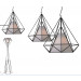 2014 Fresh Metal Modern Floor Lamps (ML21160-1-500)