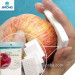 2015 Company names suggestions magic sponge daily need products