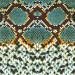 Available Print Design 100