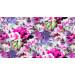 Available Print Design 74
