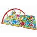 Baby Fitness Frame Carpet with Music (H9540010)