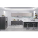 Baked Paint Kitchen Cabinet (M-L96)