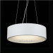 Best-Selling Round Modern Decorative LED Pendant Light Lighting