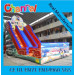 Cartoon Slide Inflatable Giant Slide Adult Dry Slides