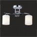 Ceiling Lamps Chandeliers